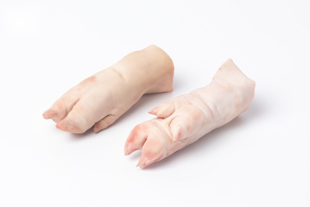Front feet