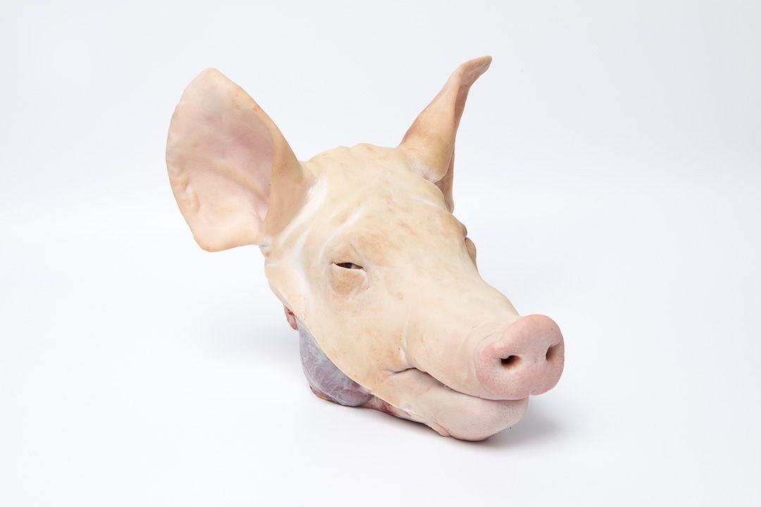 Head