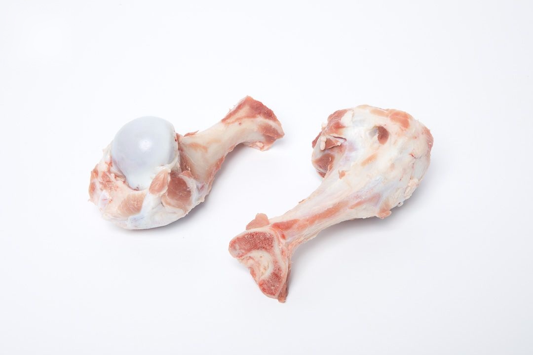 Humerus bone